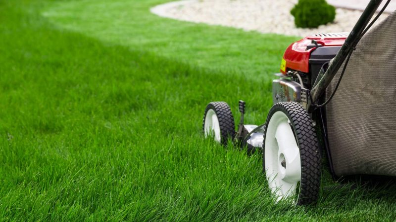 Reviews of Best Mowers for Hills