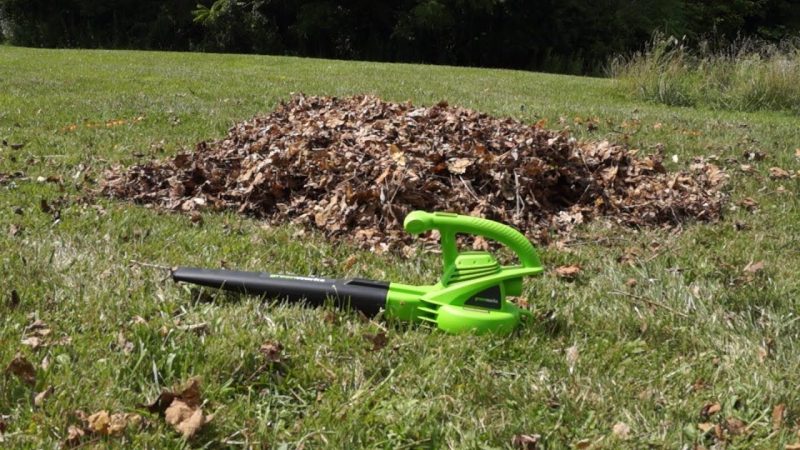 Top 5 Greenworks Leaf Blowers