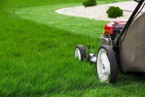 Reviews of Best Mowers for Hills